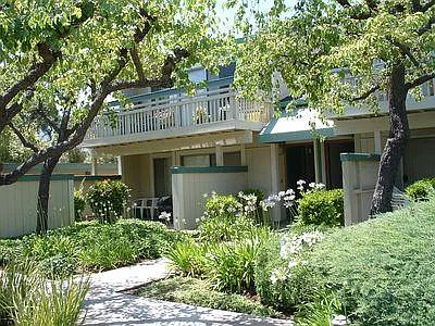 Live Oak Apartments — Photo 117