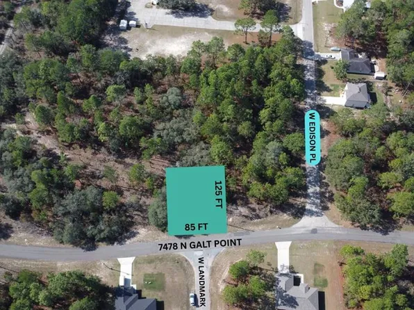 7478 N Galt Point, Citrus Springs, FL 34434