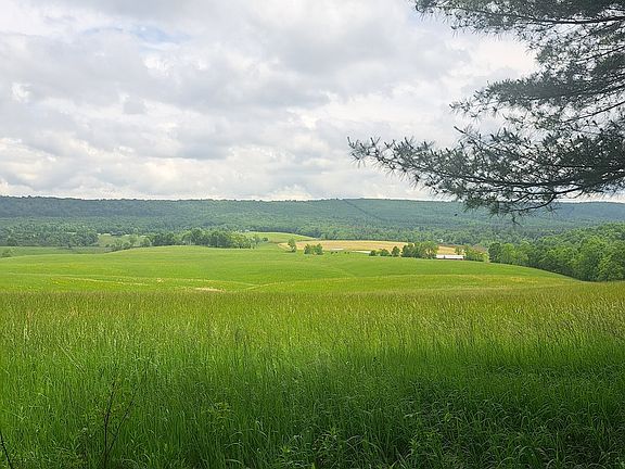 4th image of Longhorn Rd Lot Wp004