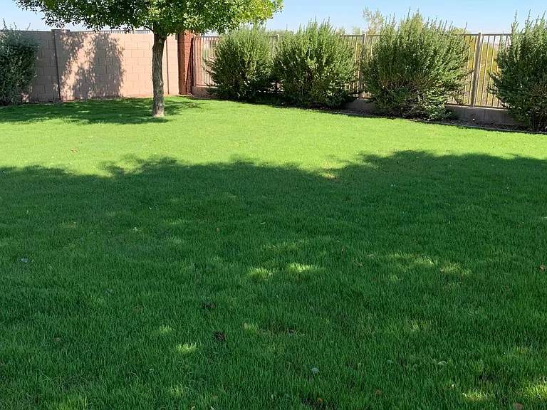 5243 N 191st Dr — Photo 15