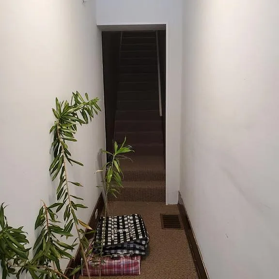 420 Brandon Ave — Photo 1