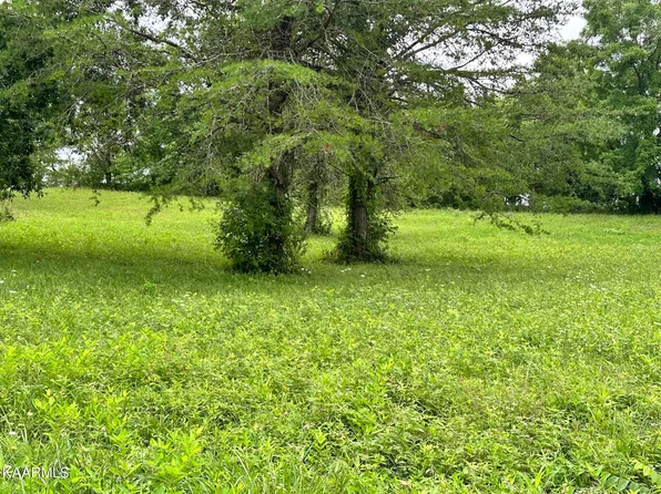 LOT 34 Cowslip Dr, Harrogate, TN 37752