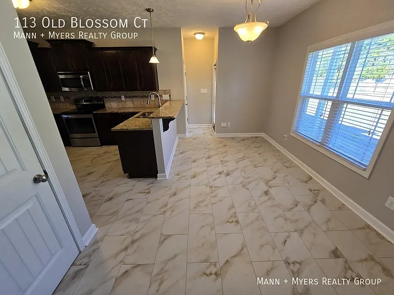 113 Old Blossom Ct — Photo 11