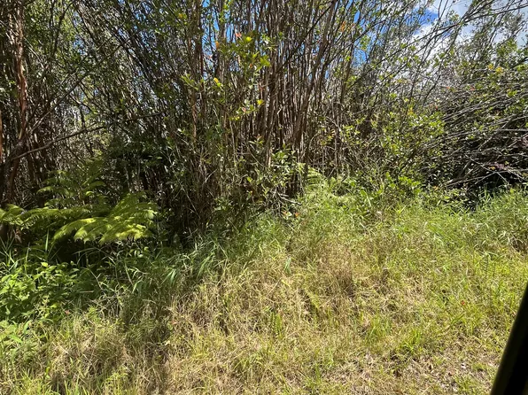 Holana St Lot 166, Volcano, HI 96785