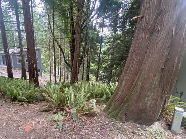 11 Granite Circle, Bellingham, WA 98229