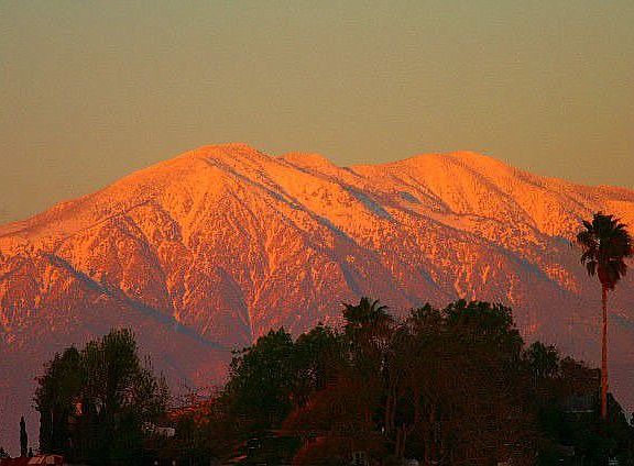 View from background