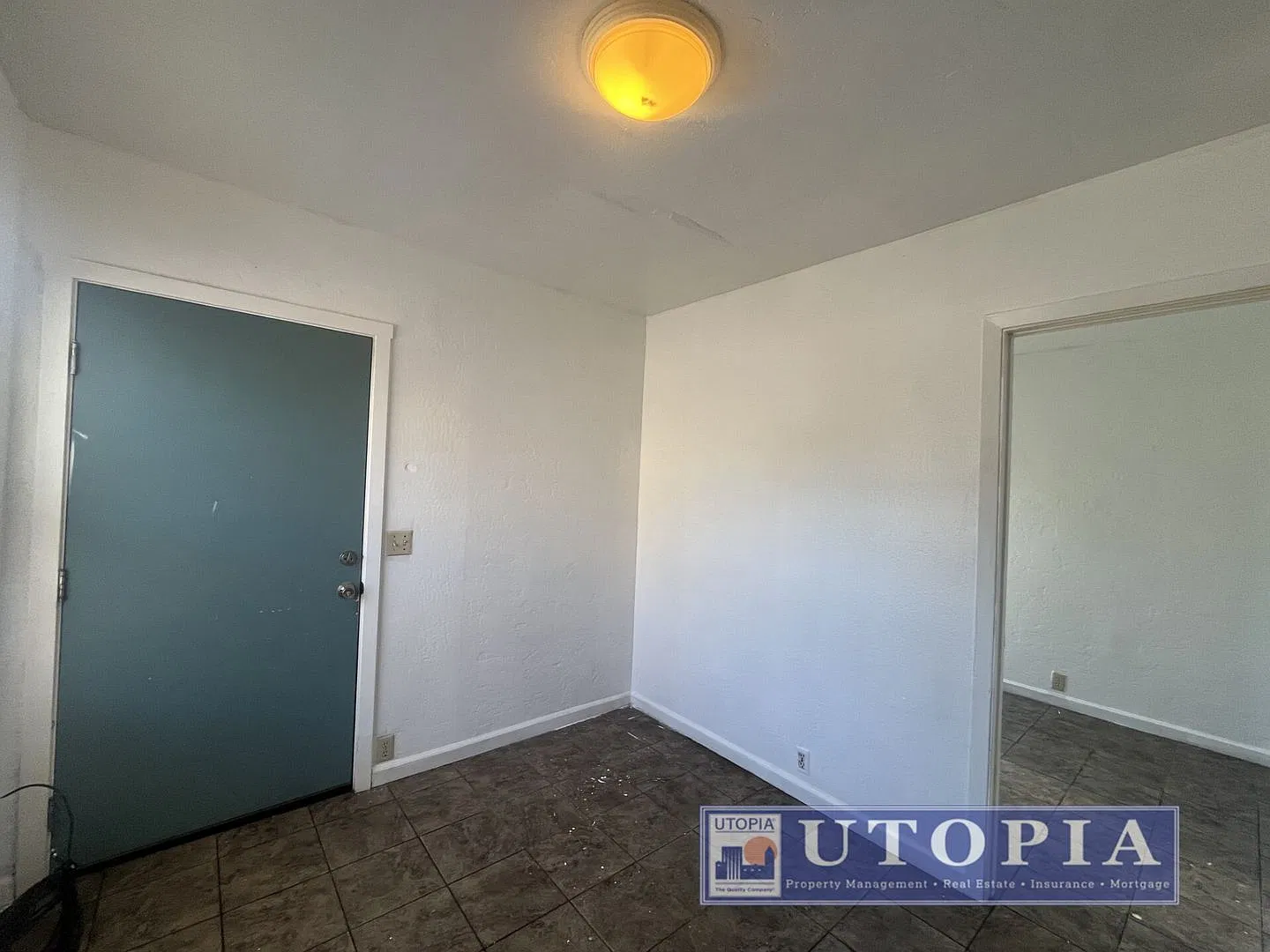 SCZ T 206 Ocean — Photo 4