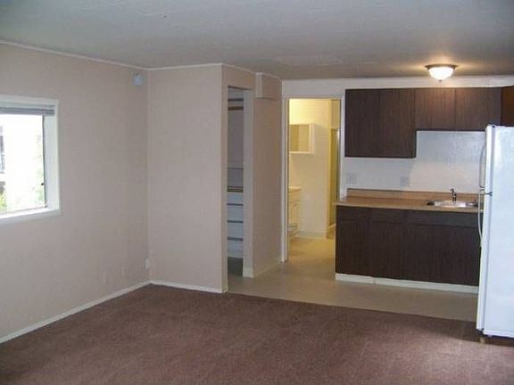 View From Liv. Area 1