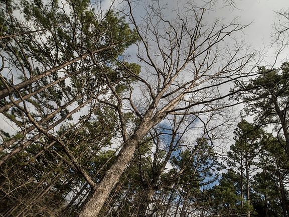 4th image of Tbd Forest Service Rd #1080