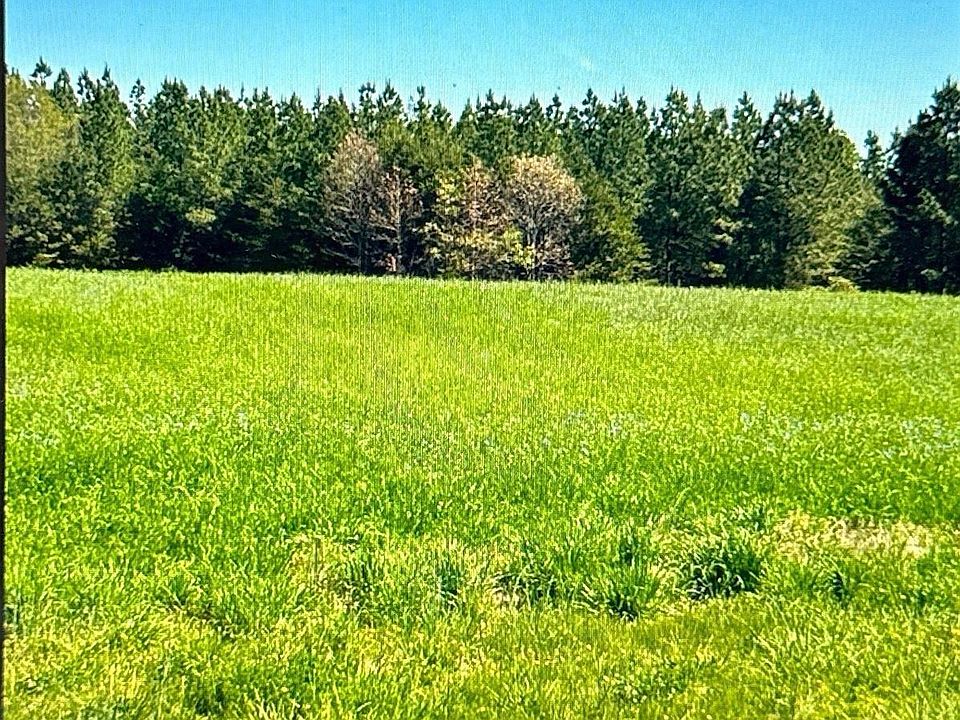 2nd image of 6649 Deer View Rd