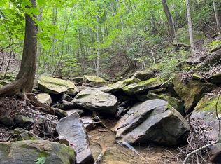 0 Vanaka Bank Rd, Lucasville, OH 45648