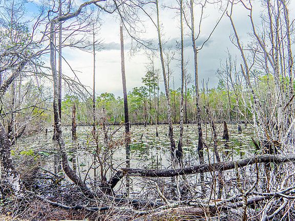 4th image of 359 Wayne Trl