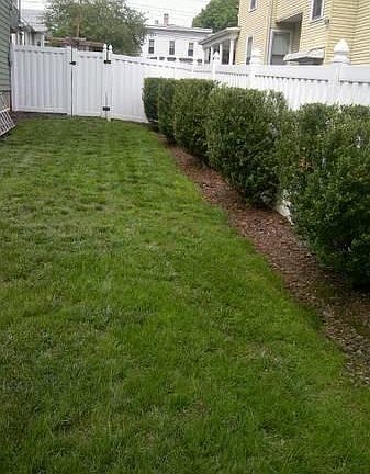 Back Yard1
