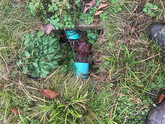 5th image of 12129 Roy Jech Farm Rd