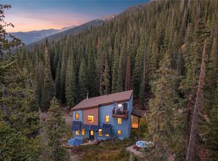 125 Webster Pass Rd, Montezuma, CO 80435