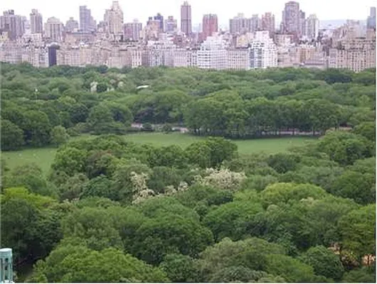 Rented by Douglas Elliman | media 8