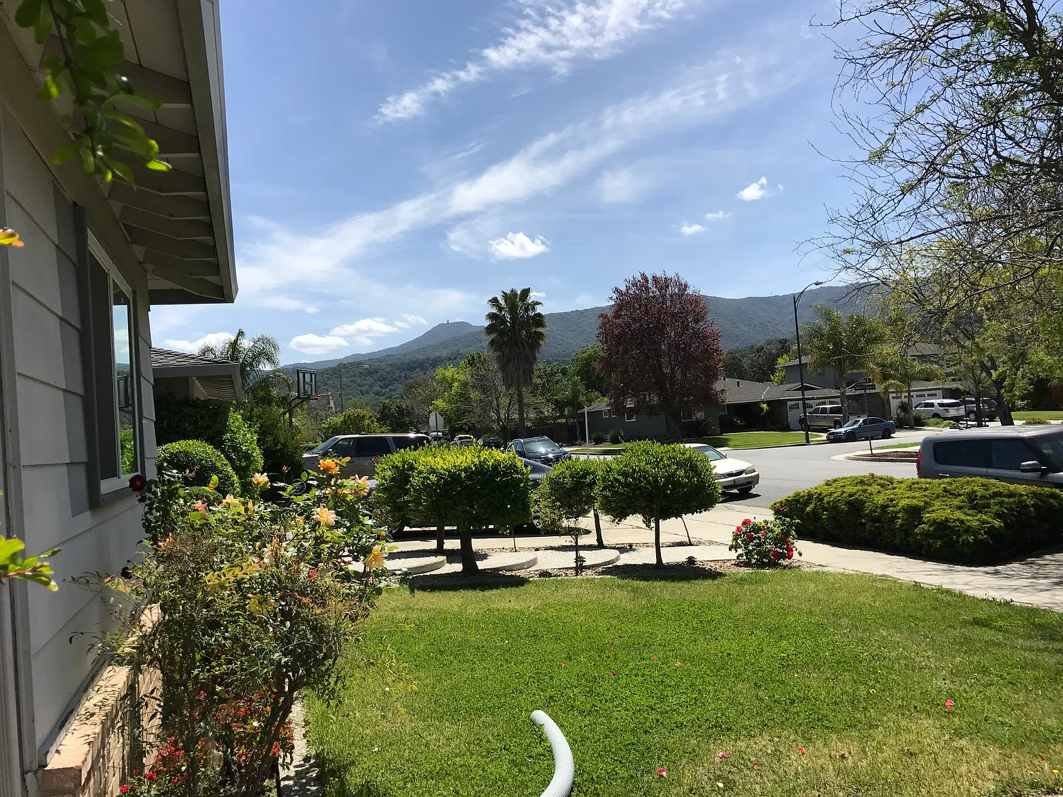 Firefly Dr, San Jose — Photo 3