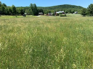 819 Big Hollow Rd, Grahamsville, NY 12740