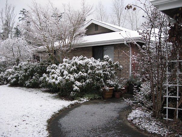 1st image of 9821 66th Ave E