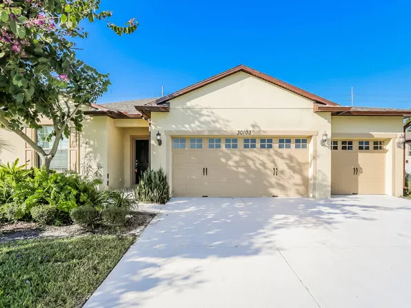 30103 Losino Cv, Mount Dora, FL 32757