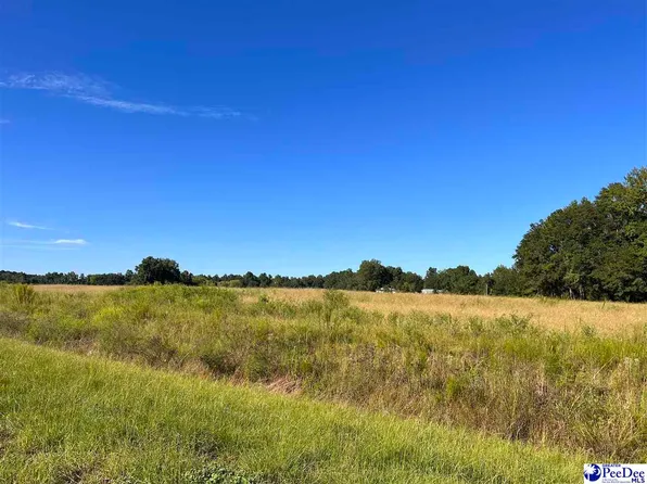 3502 S Pamplico Hwy, Pamplico, SC 29583