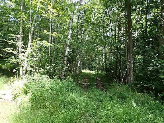 3rd image of 0 Schoolhouse Road