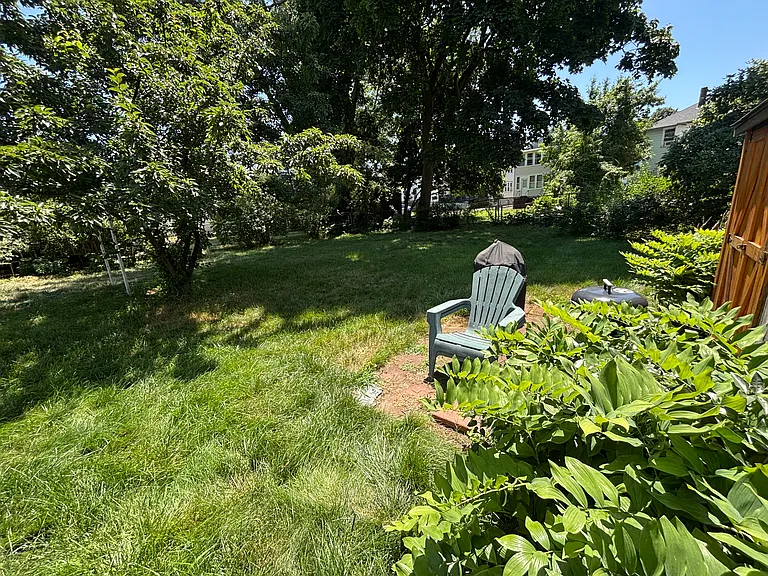 back yard