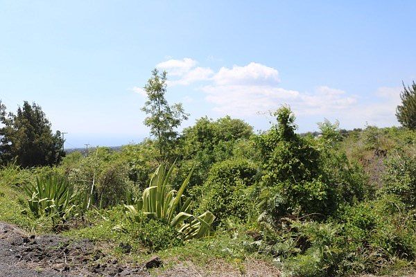 1st image of King Kamehameha Blvd Lot 31