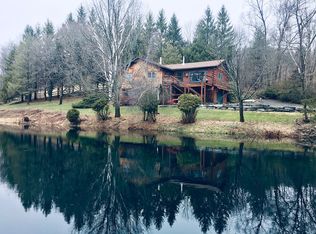 84 Logue Hill Rd, Candor, NY 13743