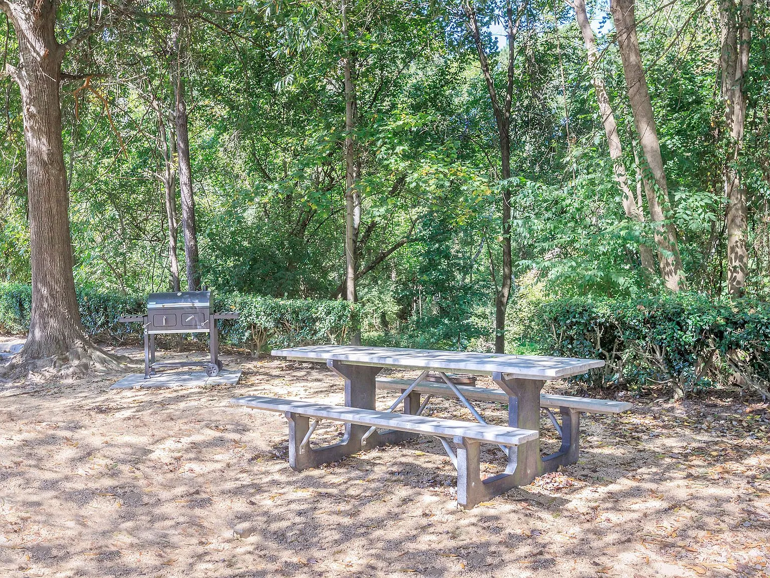Vivo Living Ivy Creek — Photo 4