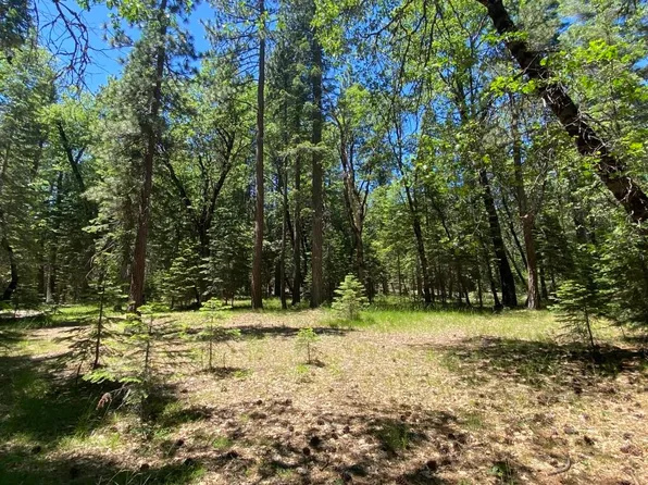 3-E-29 Red Fir Rd, McCloud, CA 96057