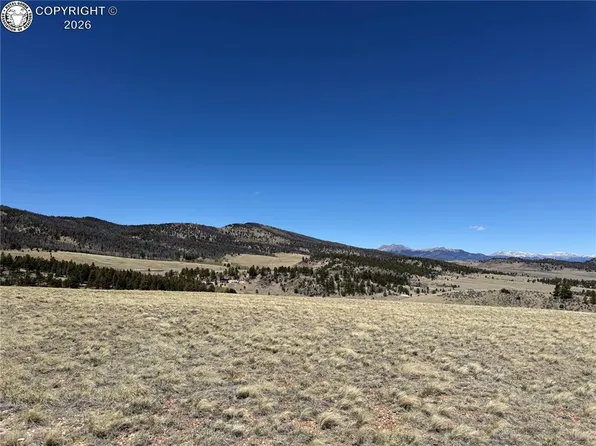 197 Baler Ct, Hartsel, CO 80449