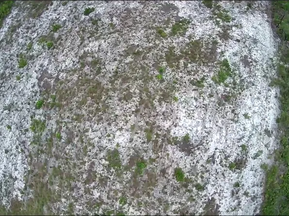 18484 Ramsey Rd, Weeki Wachee, FL 34614