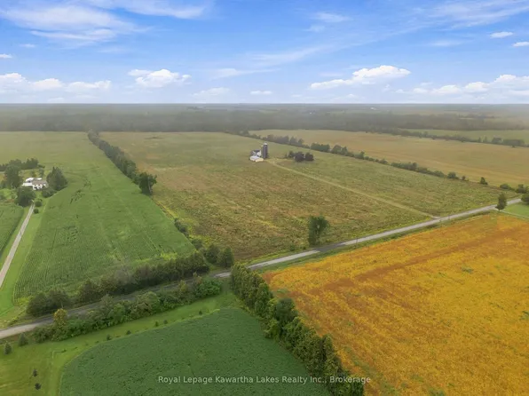 583 Hillhead Rd, Kawartha Lakes, ON K0L 2X0