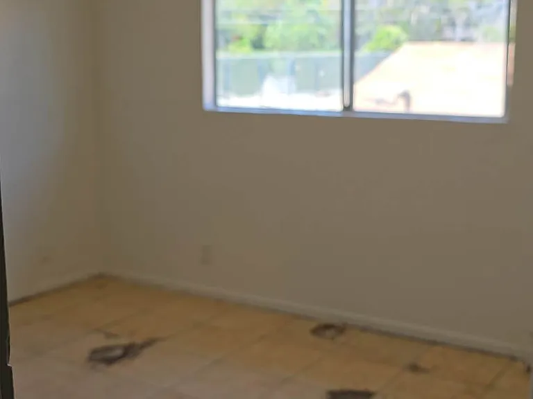 2443 Angela St #D — Photo 7