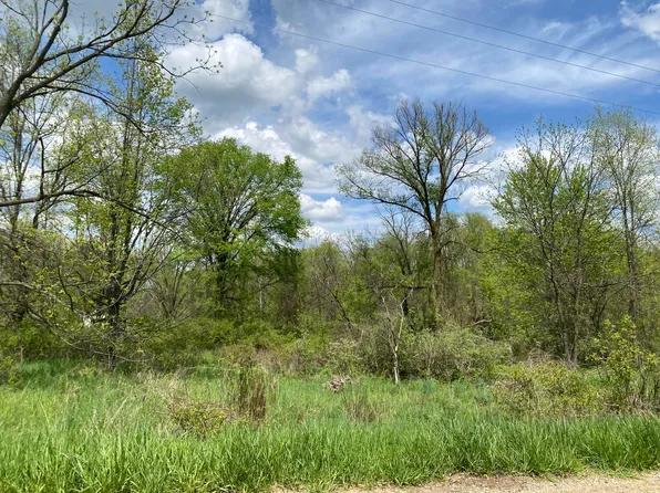 215 Cr, Bangor, MI 49013