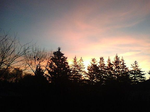 sunrise backyard from master bedroom