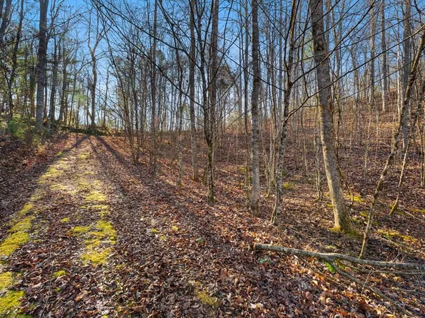 0 Fox Layre Rd, Franklin, NC 28734