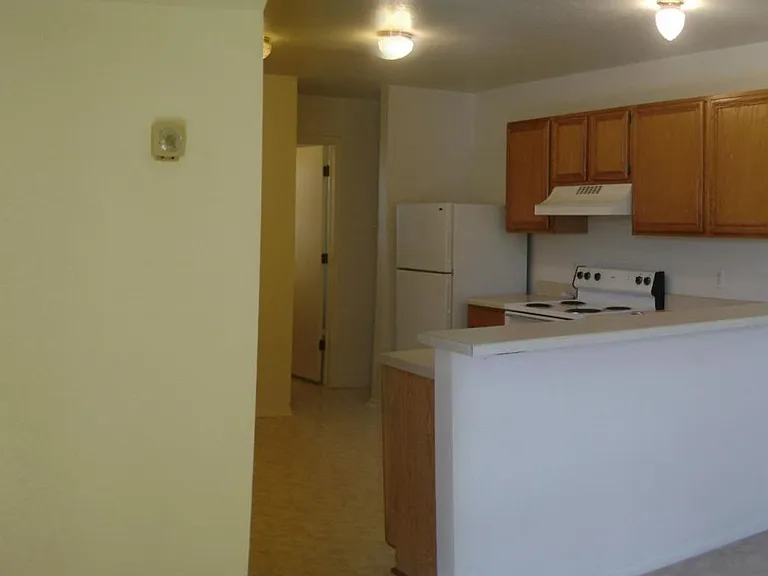 1100 Leslie Circle — Photo 4