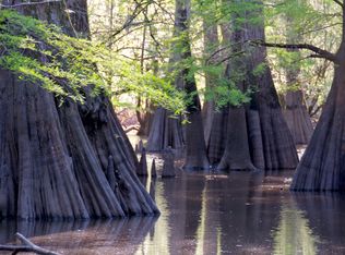 283 Platt Rd, Saint Stephen, SC 29479