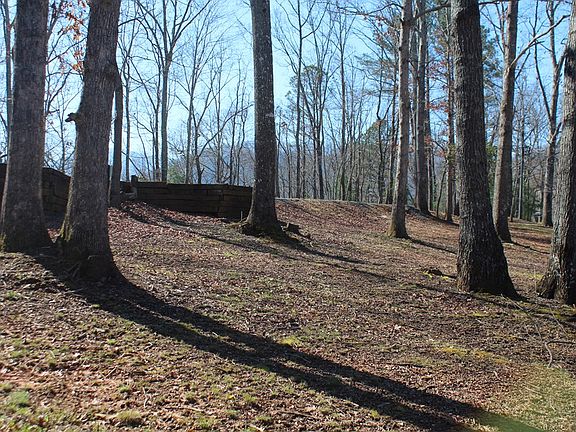 3rd image of 1017 Laurel Branch Rd