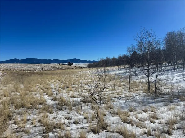2312 Mcdowell Drive, Jefferson, CO 80456
