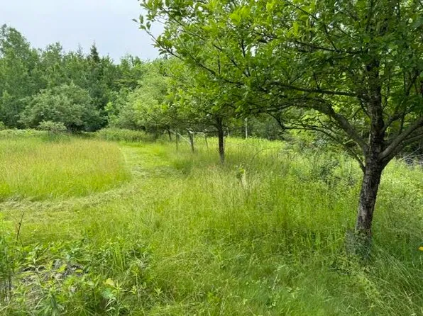 Map 4 Lot 17 Andrew Ham Road, Cambridge, ME 04923