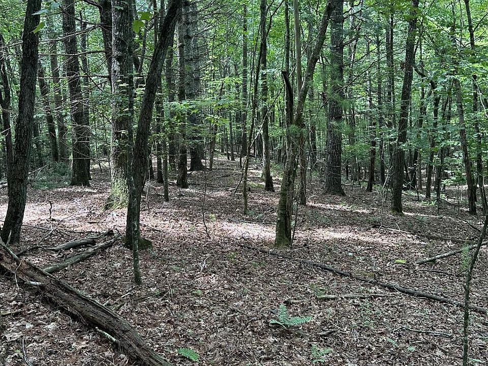 1st image of 29 Iron Gate