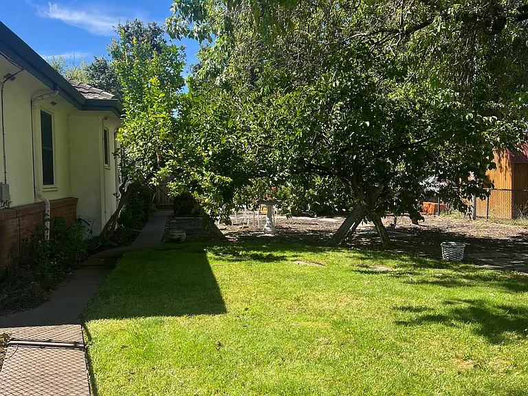 Fenced Backyard