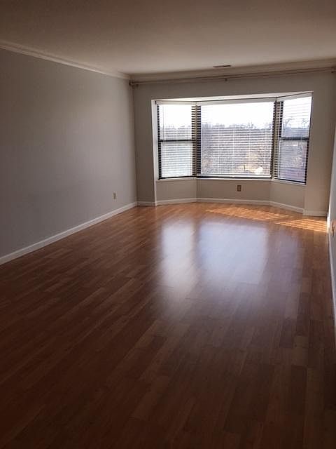 New laminate floor with bay window view toward Kirkwood Park
