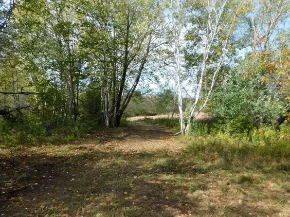 8143 N Wright Rd, Winter, WI 54896