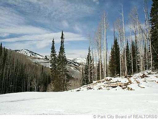 1st image of 182 White Pine Canyon Rd #182