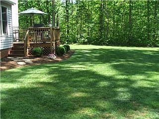 Beautiful Large Backyard