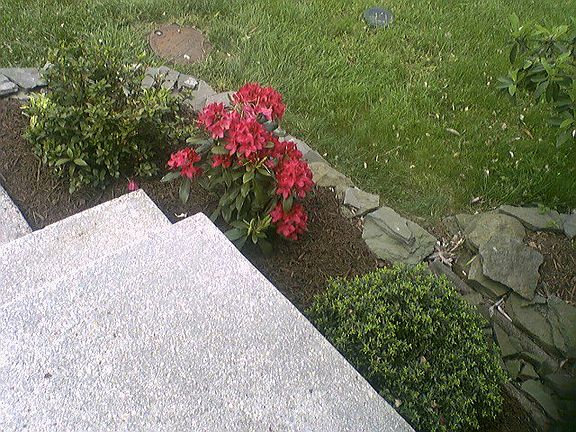 5th image of 573 Melissa Ct